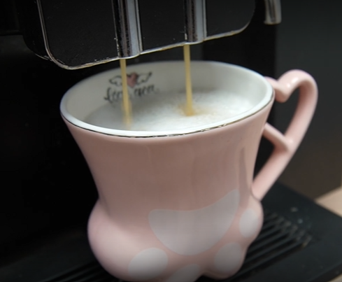 New cat café has pawsitively purr-fect payments experience thanks to Worldpay.