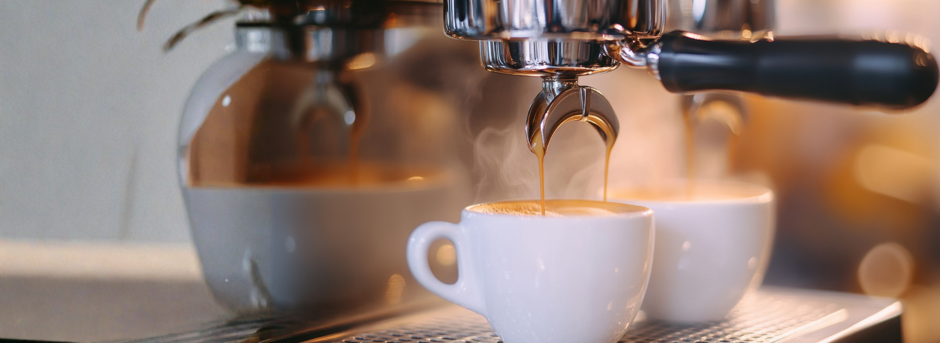 New cat café has pawsitively purr-fect payments experience thanks to Worldpay.